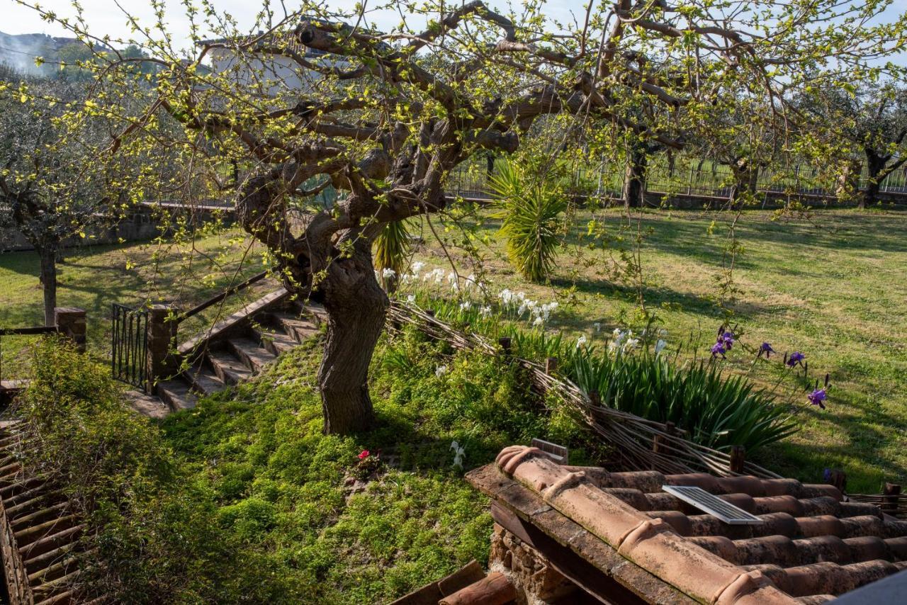 La Ginestra Otel Castel San Lorenzo Dış mekan fotoğraf