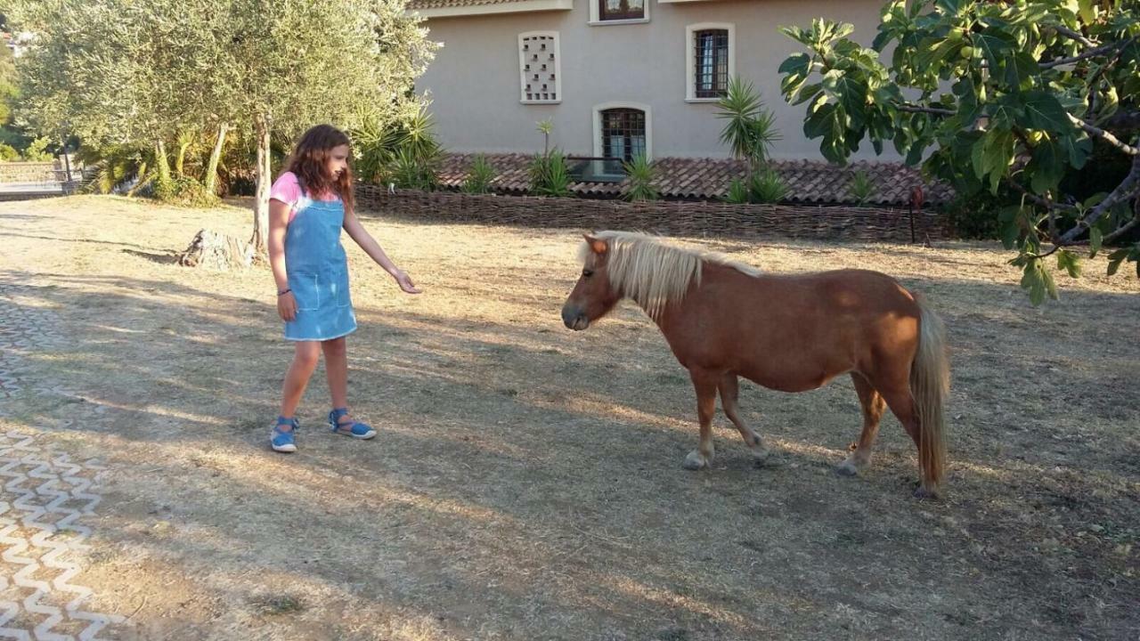 La Ginestra Otel Castel San Lorenzo Dış mekan fotoğraf