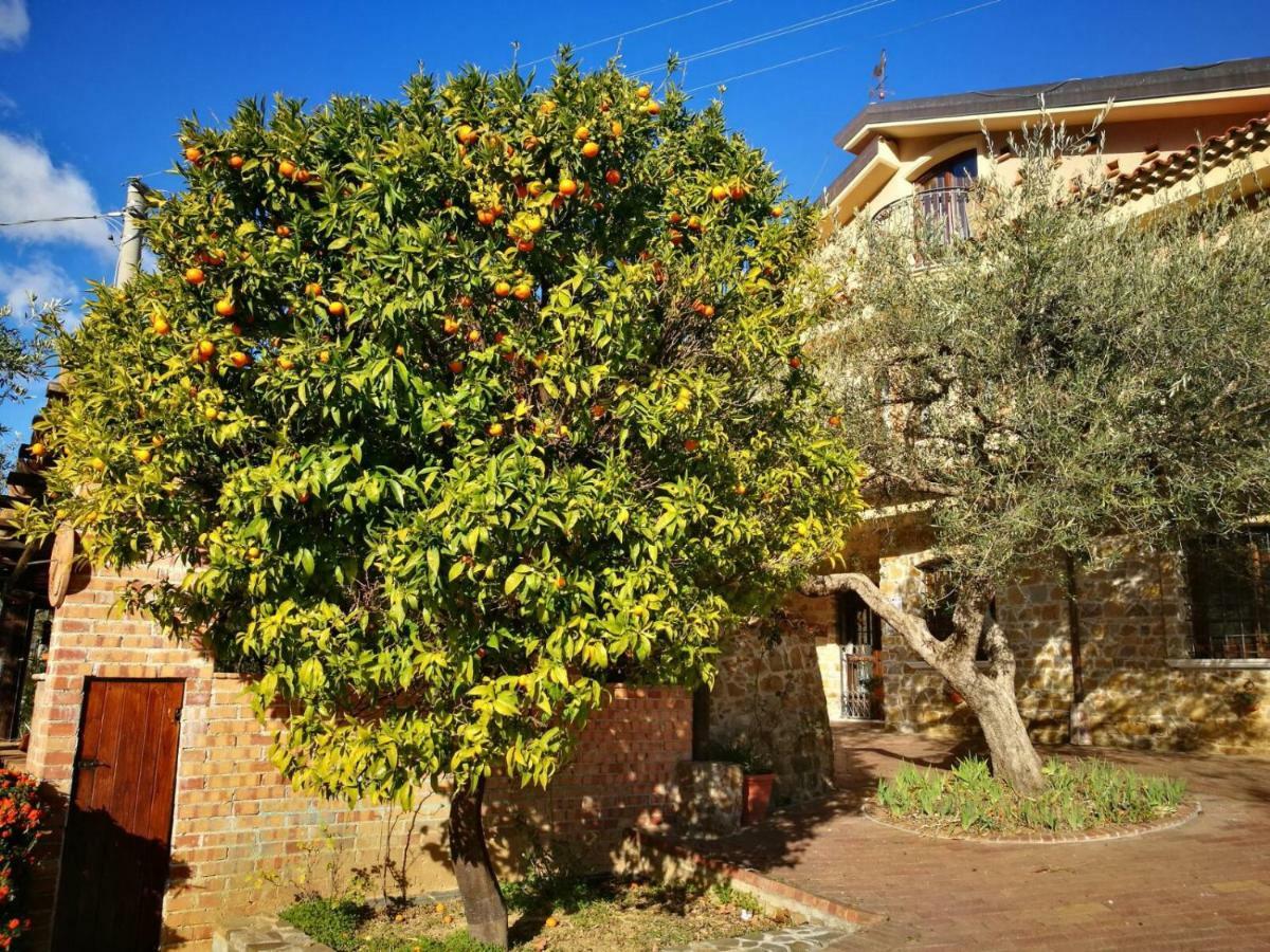 La Ginestra Otel Castel San Lorenzo Dış mekan fotoğraf